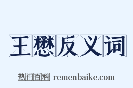 王懋反义词是什么意思的图片